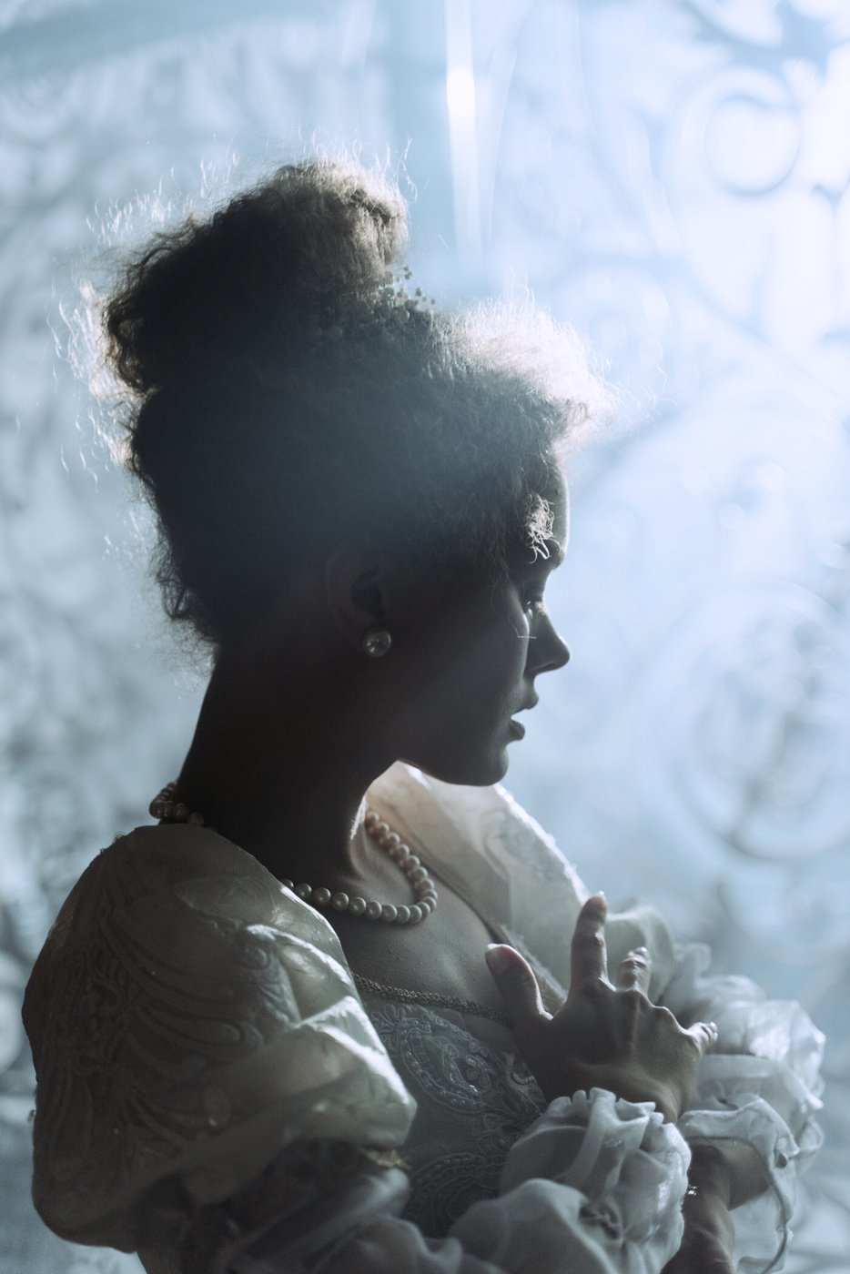 Close-up Photo of a Noble Lady 